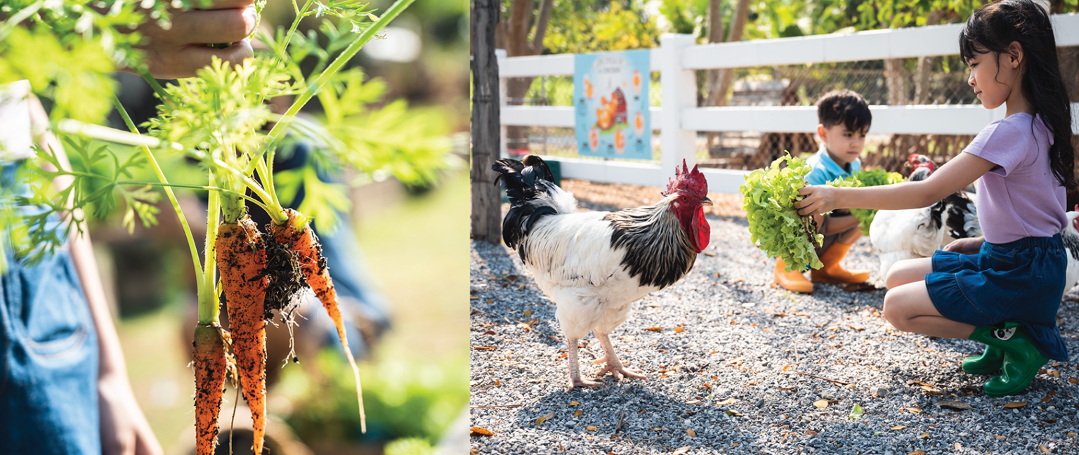 Screenshot 2568-12-15 at 22.19.06 1