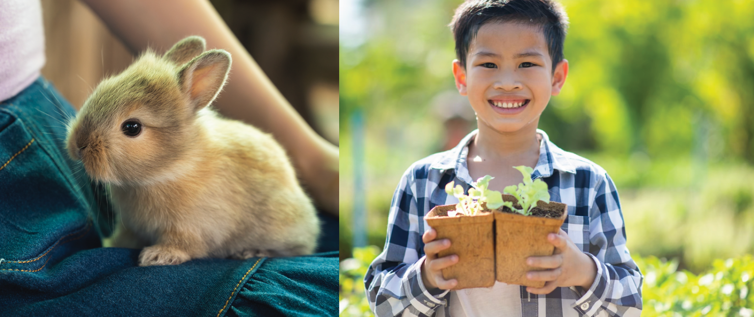 Screenshot 2568-12-15 at 22.19.14 1