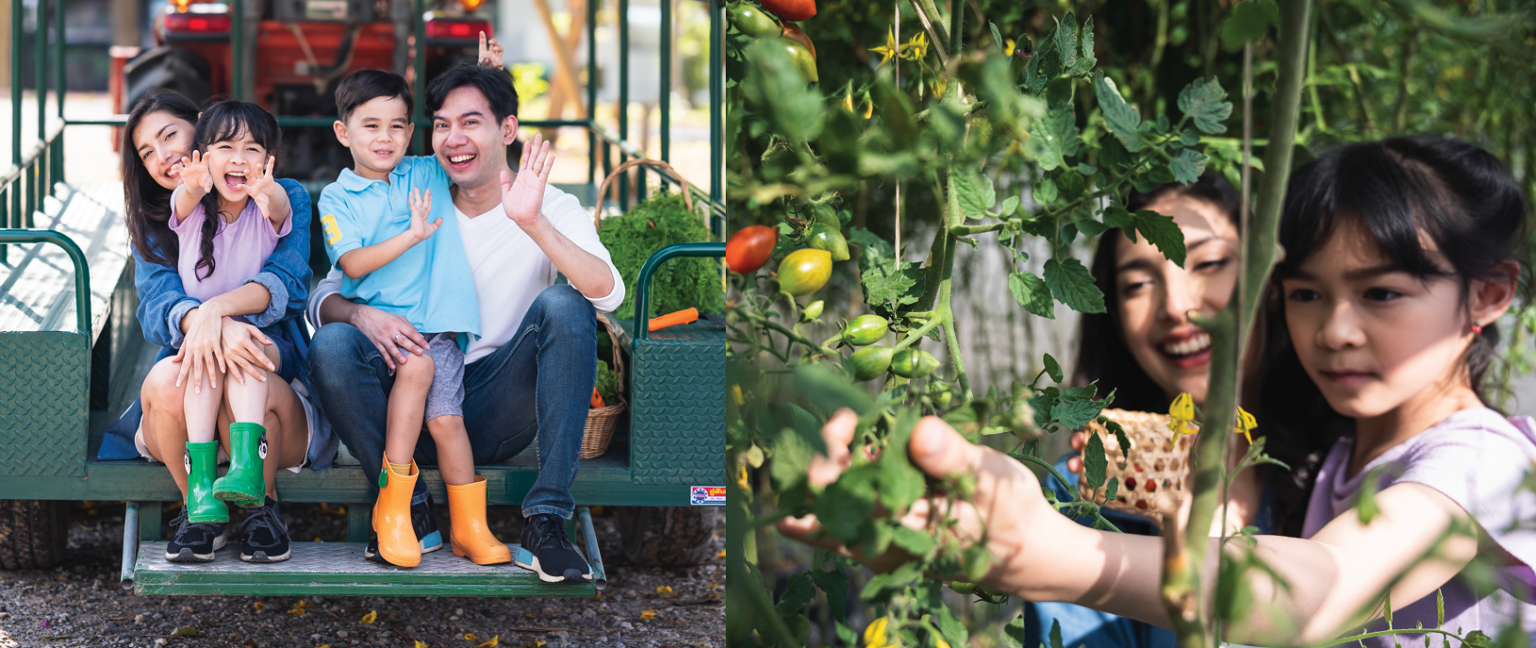 Screenshot 2568-12-15 at 22.19.23 1