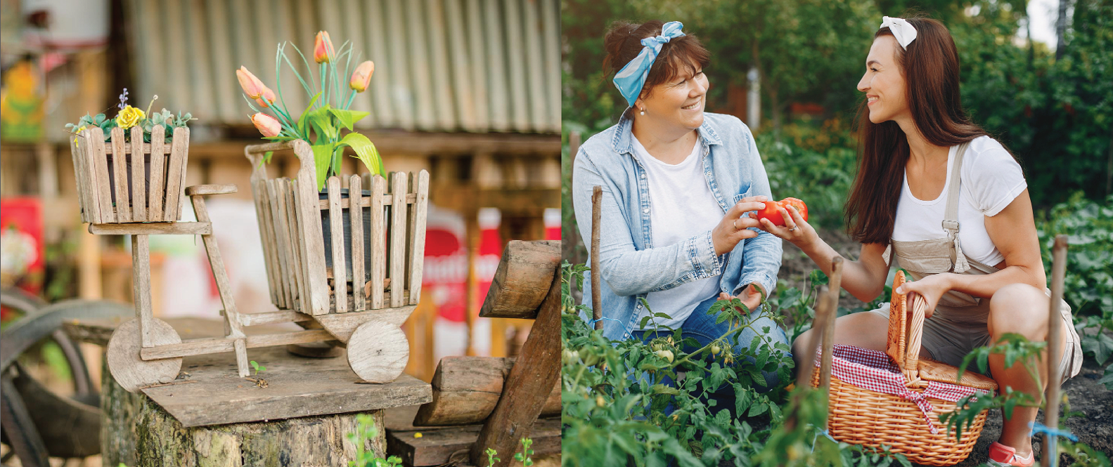 Screenshot 2568-12-15 at 22.22.57